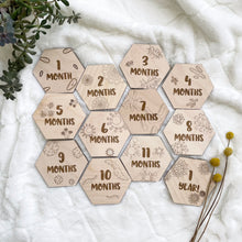 Load image into Gallery viewer, Bacteria and Virus Themed Baby Monthly Milestone Markers