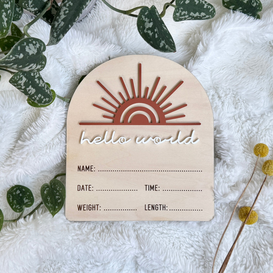 Sunshine Hello World Baby Name Announcement Sign