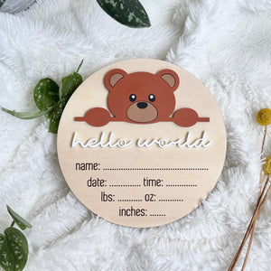 Bear Hello World Baby Name Announcement Sign