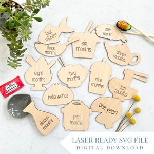 Asian Food Themed Baby Monthly Milestone Markers | SVG Laser Cut File